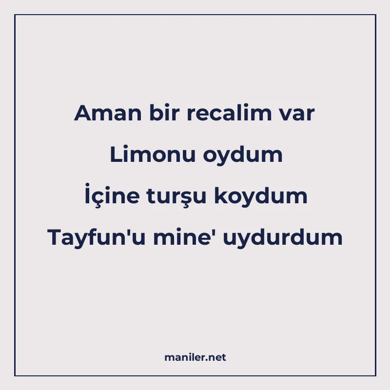 Aman bir recalim var Limonu oydum İçine turşu koydum Tayfun& manisi görseli