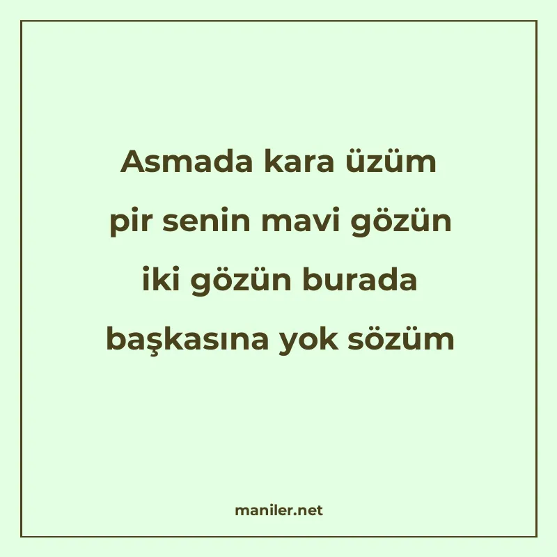 Asmada kara üzüm pir senin mavi gözün iki gözün burada başka manisi görseli