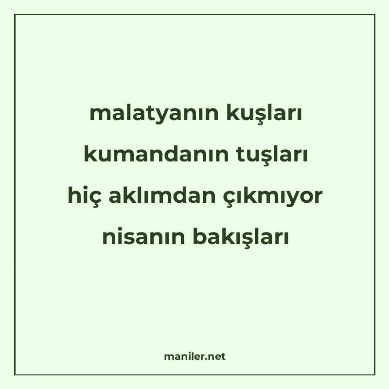 malatyanın kuşları kumandanın tuşları hiç aklımdan çıkmıyor manisi görseli