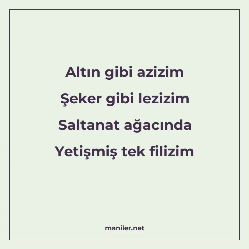 Altın gibi azizim Şeker gibi lezizim Saltanat ağacında Yetiş manisi görseli