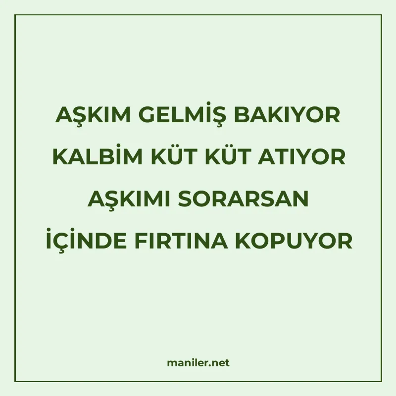 AŞKIM GELMİŞ BAKIYOR KALBİM KÜT KÜT ATIYOR AŞKIMI SORARSAN İ manisi görseli
