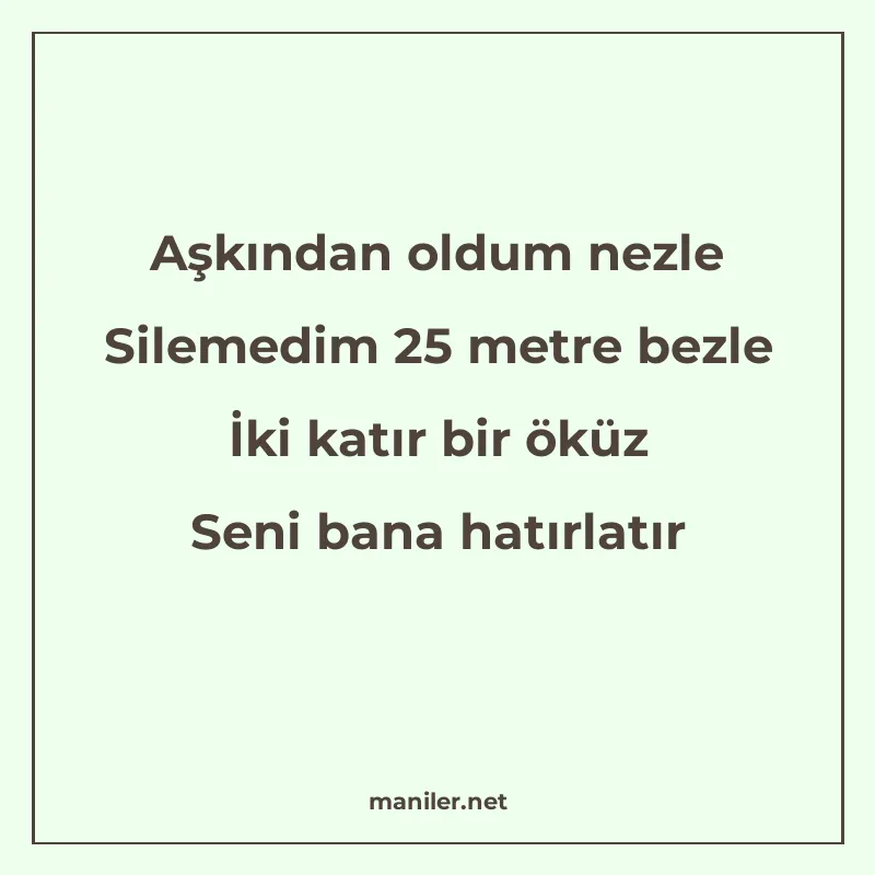 Aşkından oldum nezle Silemedim 25 metre bezle İki katır bir manisi görseli