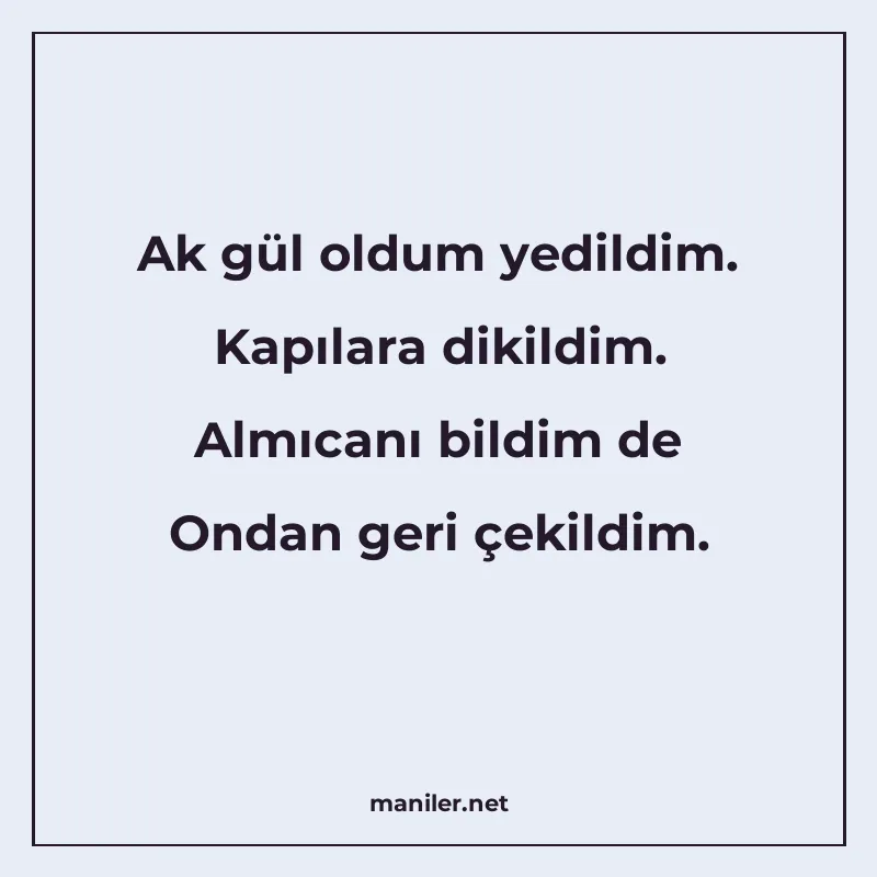 Ak gül oldum yedildim. Kapılara dikildim. Almıcanı bildim de manisi görseli