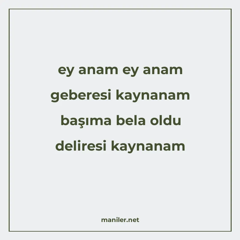 ey anam ey anam geberesi kaynanam başıma bela oldu deliresi manisi görseli