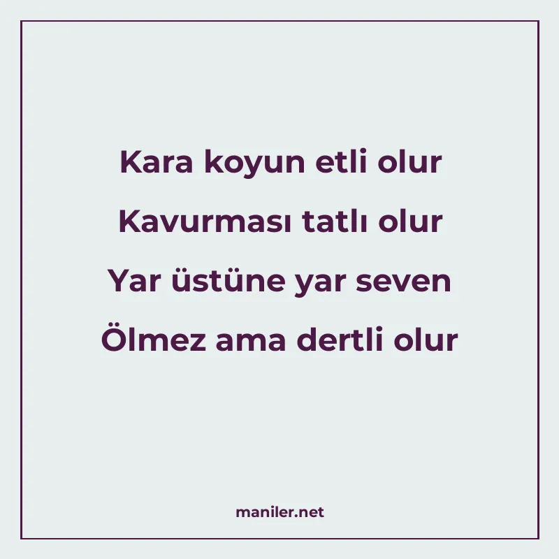 Kara koyun etli olur Kavurması tatlı olur Yar üstüne yar sev manisi görseli