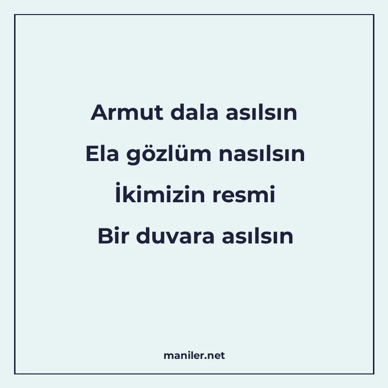 Armut dala asılsın Ela gözlüm nasılsın İkimizin resmi Bir du manisi görseli