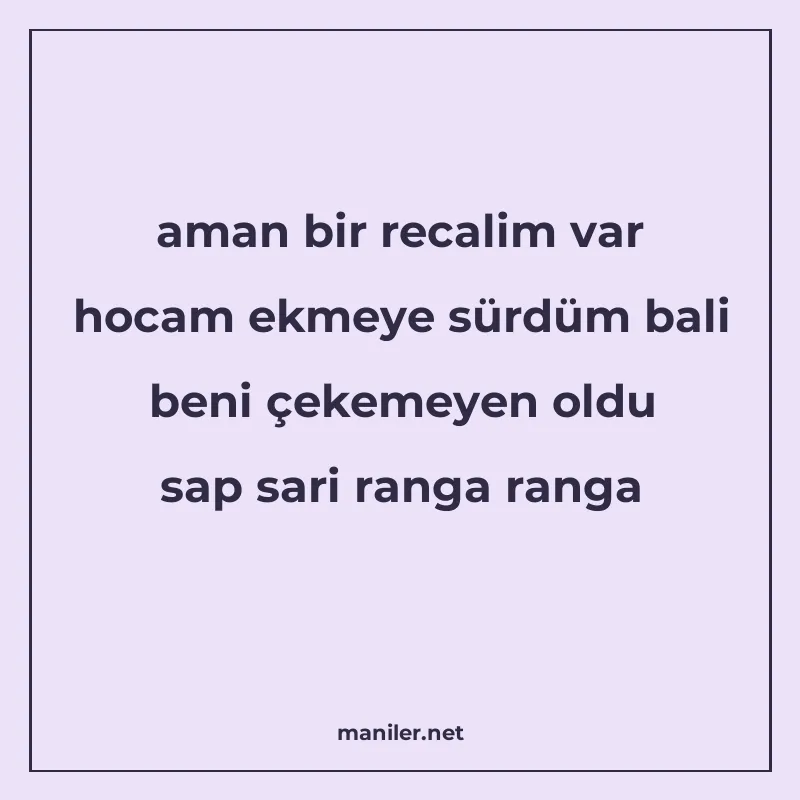 aman bir recalim var hocam ekmeye sürdüm bali beni çekemeyen manisi görseli