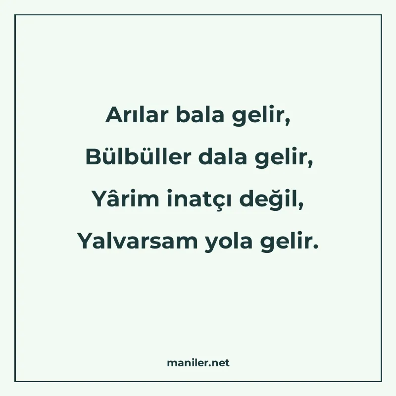 Arılar bala gelir, Bülbüller dala gelir, Yârim inatçı değil manisi görseli