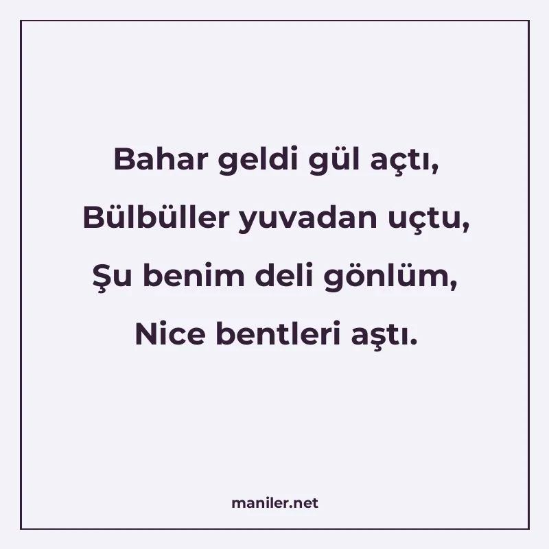 Bahar geldi gül açtı, Bülbüller yuvadan uçtu, Şu benim deli manisi görseli