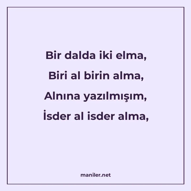 Bir dalda iki elma, Biri al birin alma, Alnına yazılmışım, İ manisi görseli