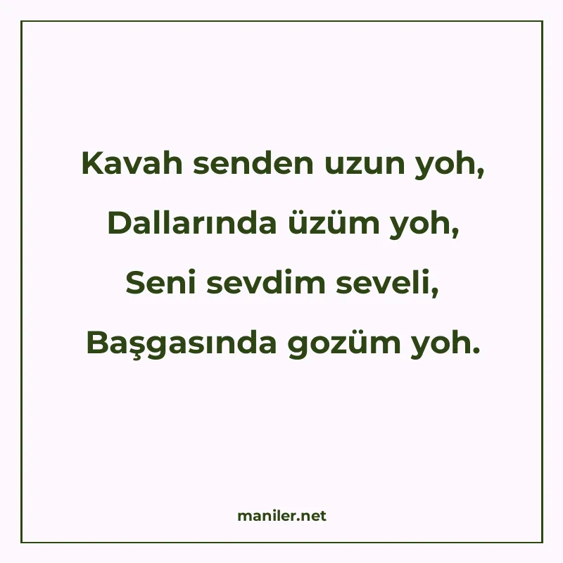 Kavah senden uzun yoh, Dallarında üzüm yoh, Seni sevdim seve manisi görseli