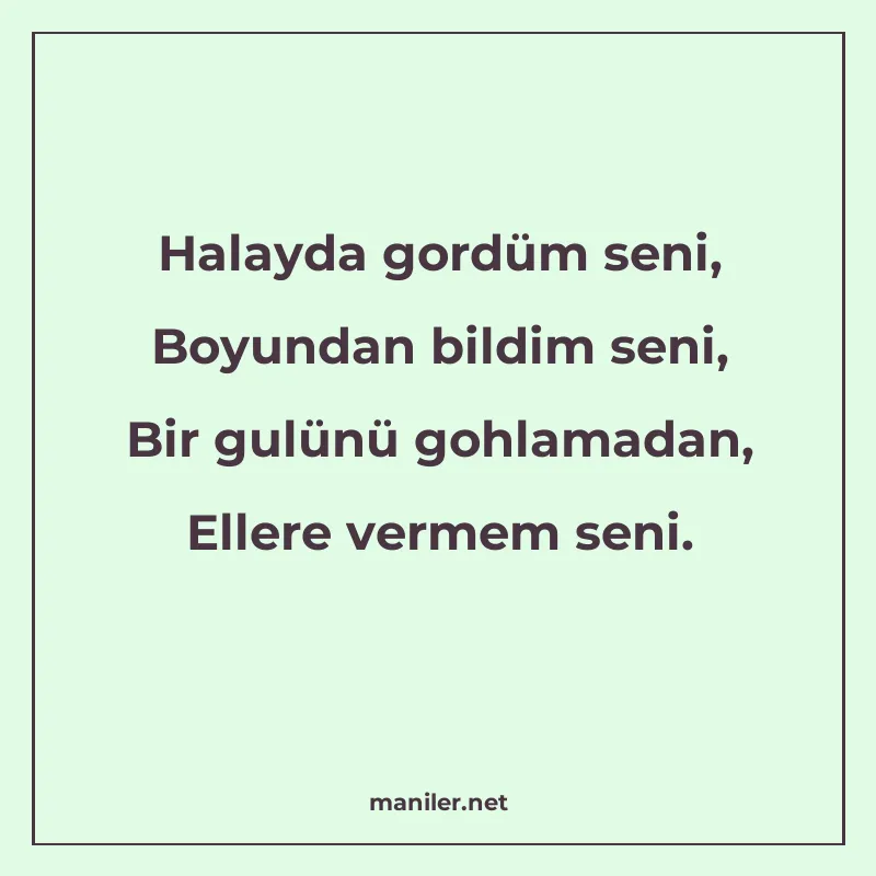 Halayda gordüm seni, Boyundan bildim seni, Bir gulünü gohlam