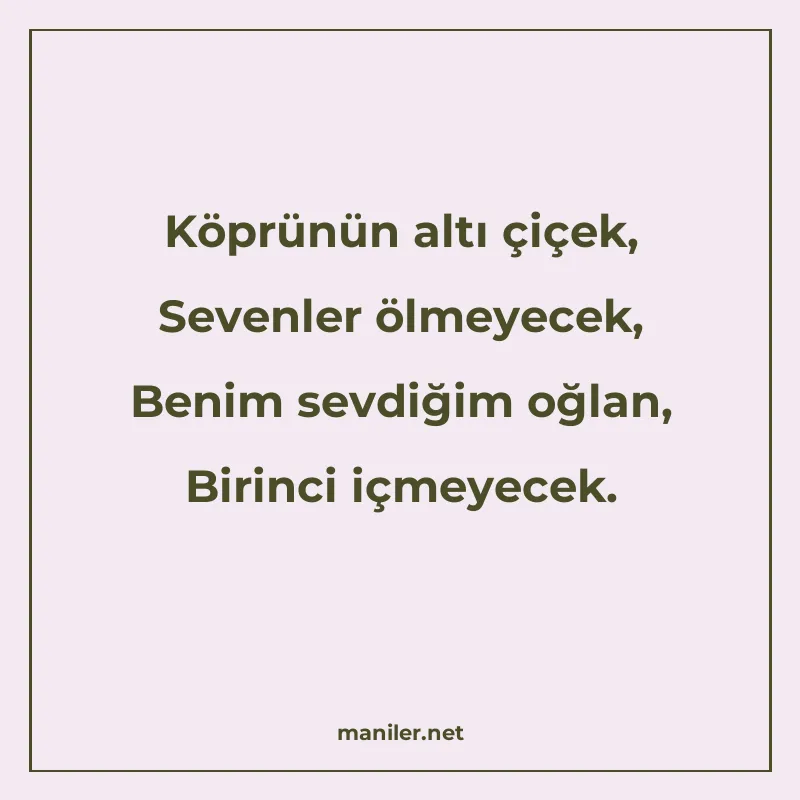 Köprünün altı çiçek, Sevenler ölmeyecek, Benim sevdiğim oğla