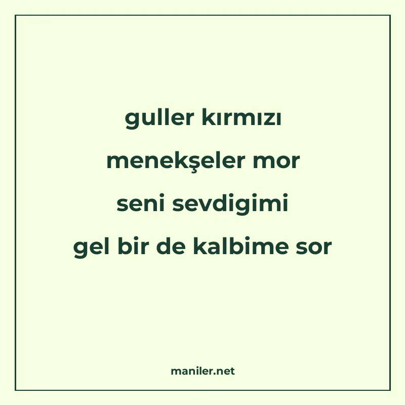 guller kırmızı menekşeler mor seni sevdigimi gel bir de kalb manisi görseli