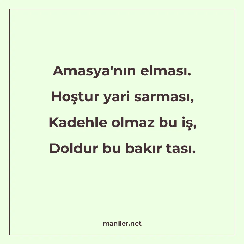 Amasya'nın elması. Hoştur yari sarması, Kadehle olmaz b manisi görseli