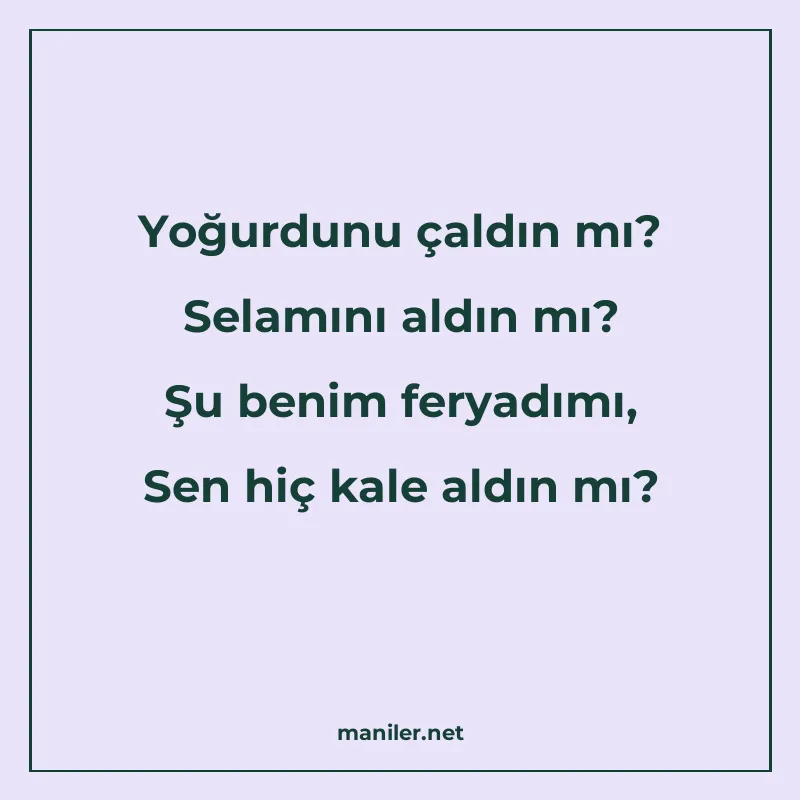 Yoğurdunu çaldın mı? Selamını aldın mı? Şu benim feryadımı manisi görseli