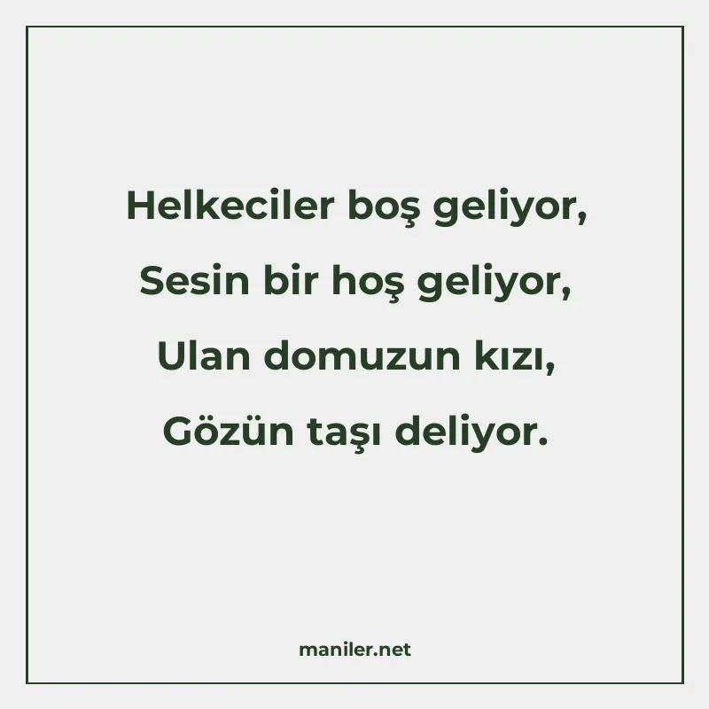 Helkeciler boş geliyor, Sesin bir hoş geliyor, Ulan domuzun manisi görseli