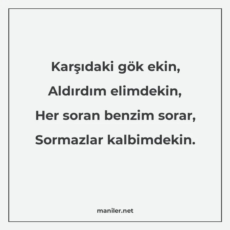 Karşıdaki gök ekin, Aldırdım elimdekin, Her soran benzim sor manisi görseli