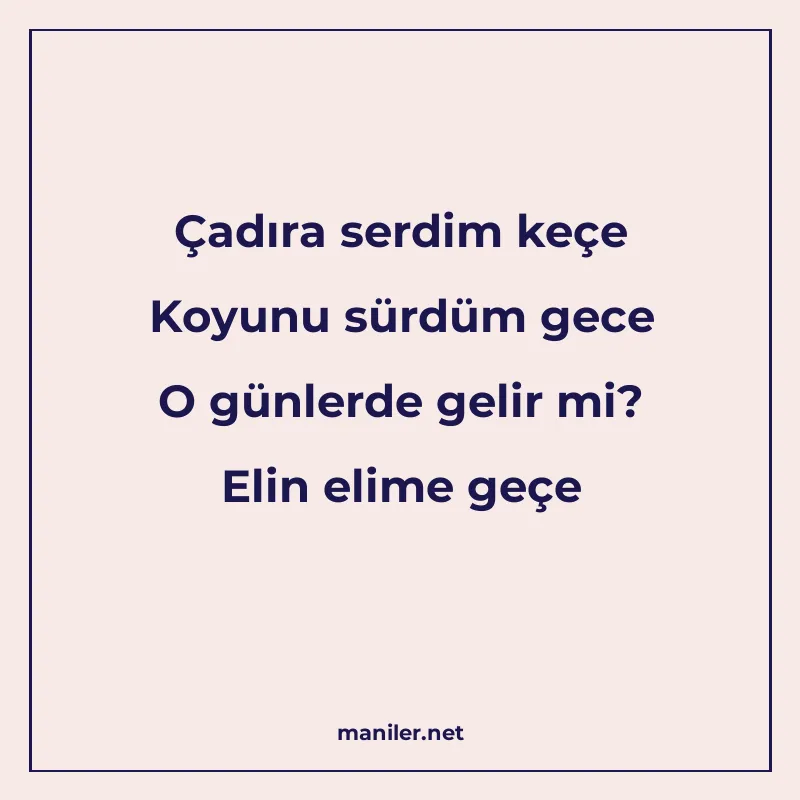Çadıra serdim keçe Koyunu sürdüm gece O günlerde gelir mi? E manisi görseli