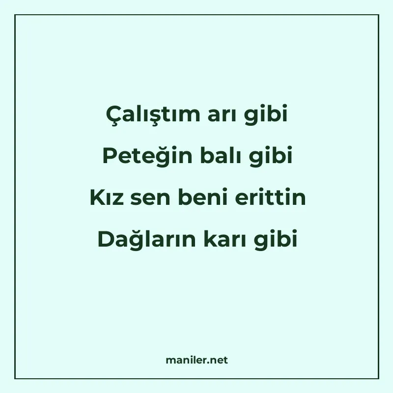 Çalıştım arı gibi Peteğin balı gibi Kız sen beni erittin Dağ manisi görseli