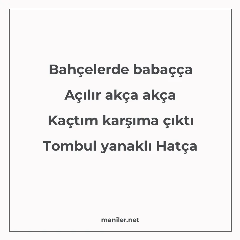 Bahçelerde babaçça Açılır akça akça Kaçtım karşıma çıktı Tom manisi görseli