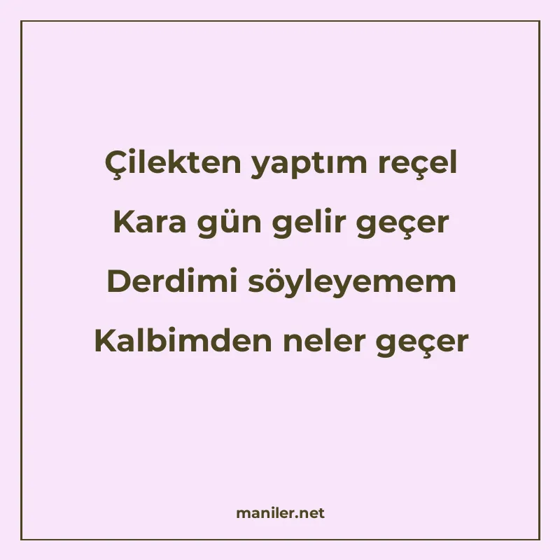 Çilekten yaptım reçel Kara gün gelir geçer Derdimi söyleyeme manisi görseli