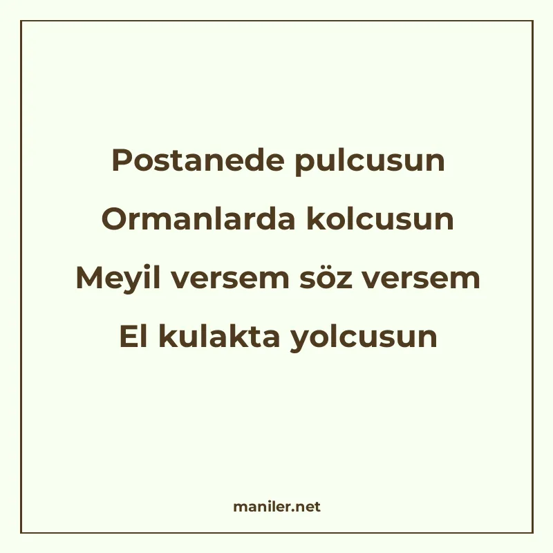 Postanede pulcusun Ormanlarda kolcusun Meyil versem söz vers manisi görseli