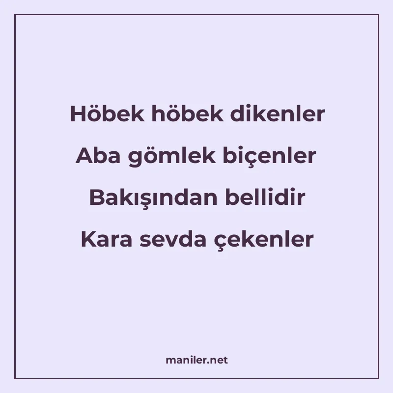 Höbek höbek dikenler Aba gömlek biçenler Bakışından bellidir manisi görseli