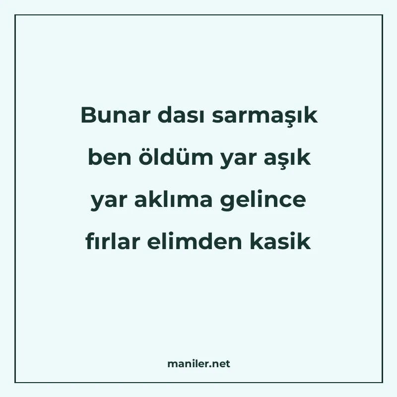 Bunar dası sarmaşık ben öldüm yar aşık yar aklıma gelince fı manisi görseli