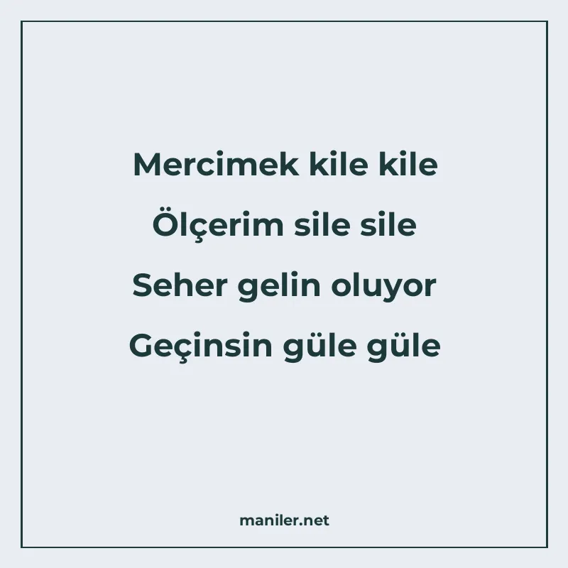 Mercimek kile kile Ölçerim sile sile Seher gelin oluyor Geçi manisi görseli