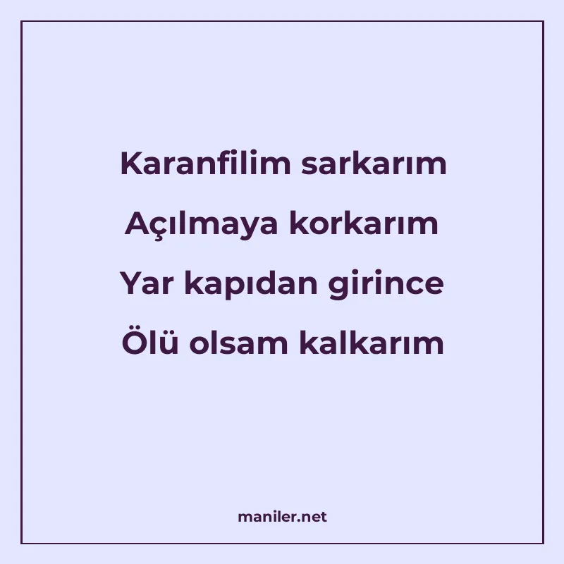 Karanfilim sarkarım Açılmaya korkarım Yar kapıdan girince Öl manisi görseli