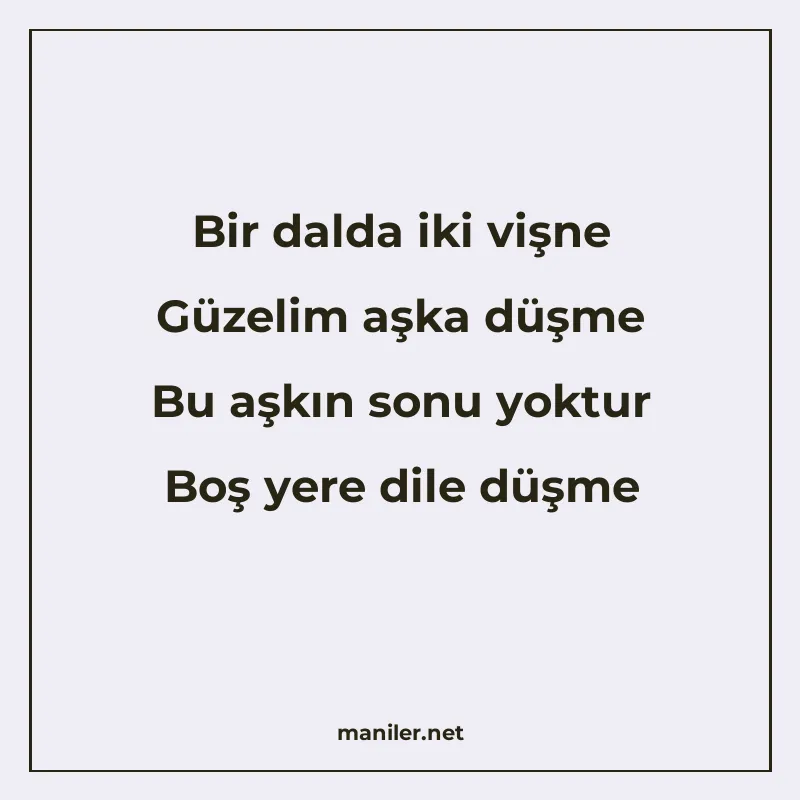 Bir dalda iki vişne Güzelim aşka düşme Bu aşkın sonu yoktur manisi görseli