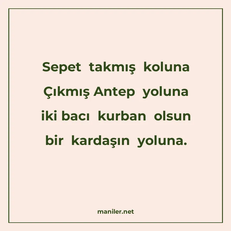 Sepet takmış koluna Çıkmış Antep yoluna iki bacı kurban olsu manisi görseli