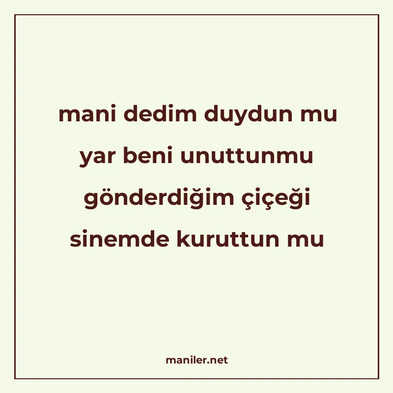 mani dedim duydun mu yar beni unuttunmu gönderdiğim çiçeği s manisi görseli