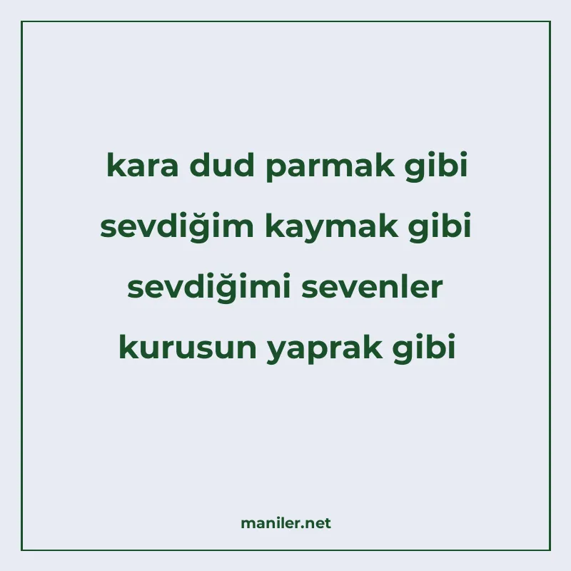 kara dud parmak gibi sevdiğim kaymak gibi sevdiğimi sevenler manisi görseli