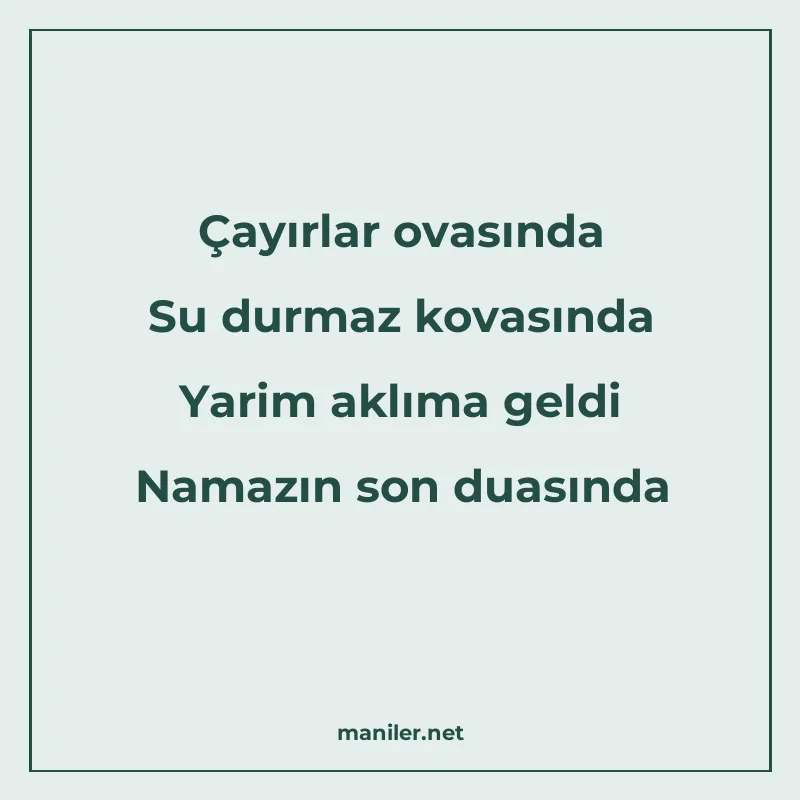 Çayırlar ovasında Su durmaz kovasında Yarim aklıma geldi Nam manisi görseli