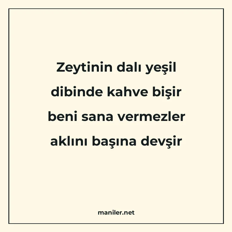 Zeytinin dalı yeşil dibinde kahve bişir beni sana vermezler manisi görseli