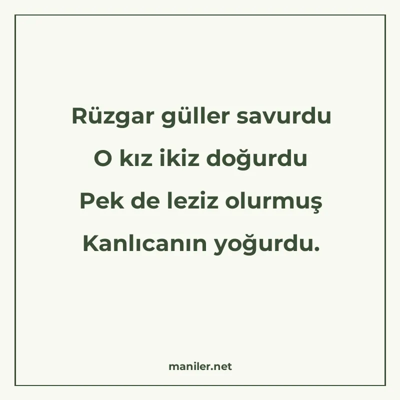 Rüzgar güller savurdu O kız ikiz doğurdu Pek de leziz olurmu manisi görseli
