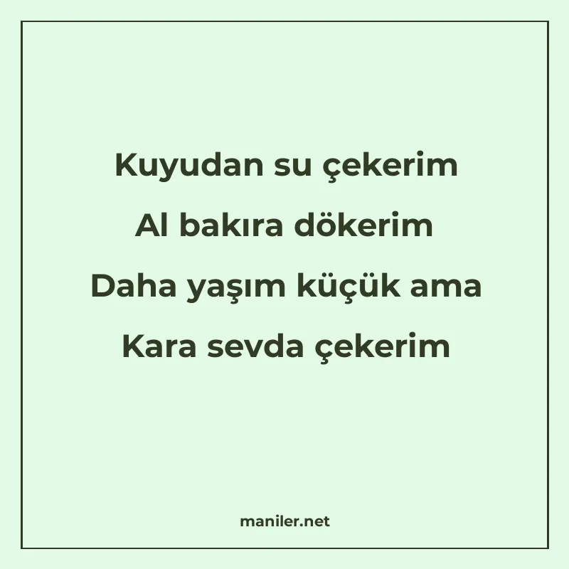 Kuyudan su çekerim Al bakıra dökerim Daha yaşım küçük ama Ka manisi görseli