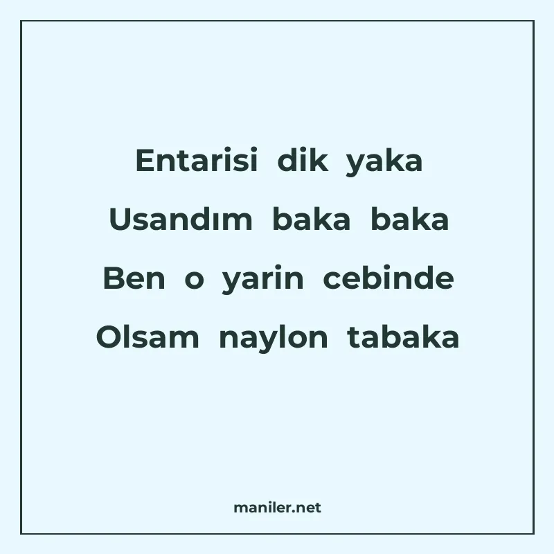Entarisi dik yaka Usandım baka baka Ben o yarin cebinde Olsa manisi görseli