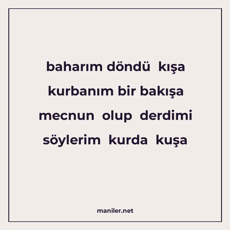 baharım döndü kışa kurbanım bir bakışa mecnun olup derdimi s manisi görseli
