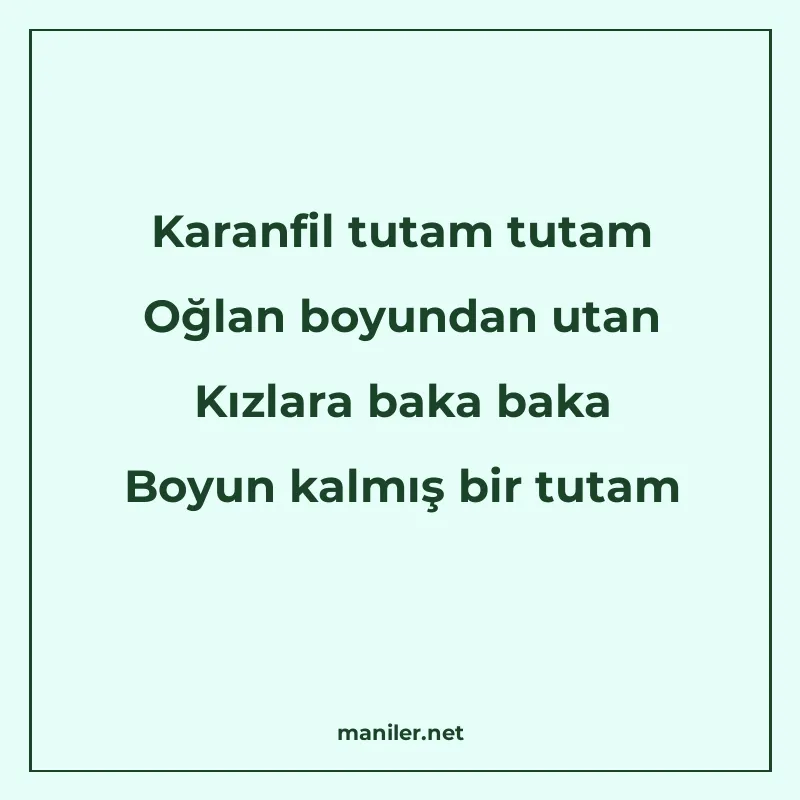 Karanfil tutam tutam Oğlan boyundan utan Kızlara baka baka B manisi görseli
