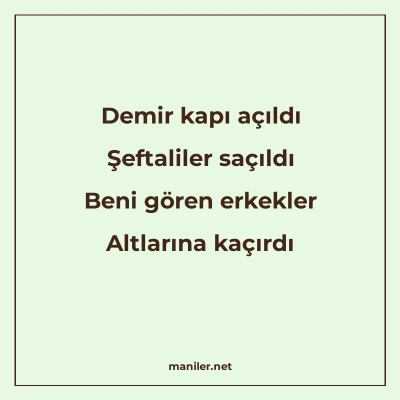 Demir kapı açıldı Şeftaliler saçıldı Beni gören erkekler Alt manisi görseli