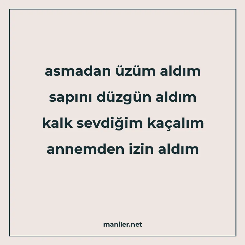 asmadan üzüm aldım sapını düzgün aldım kalk sevdiğim kaçalım manisi görseli