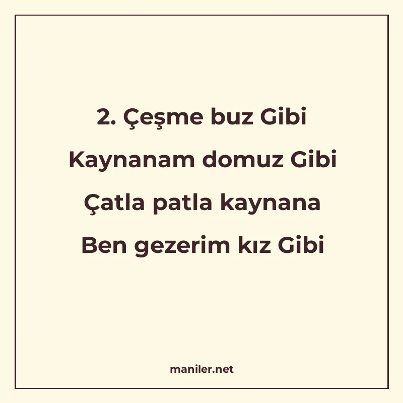 2. Çeşme buz Gibi Kaynanam domuz Gibi Çatla patla kaynana Be manisi görseli
