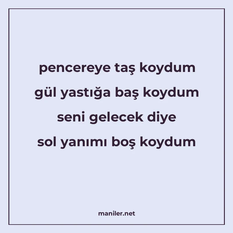 pencereye taş koydum gül yastığa baş koydum seni gelecek diy manisi görseli