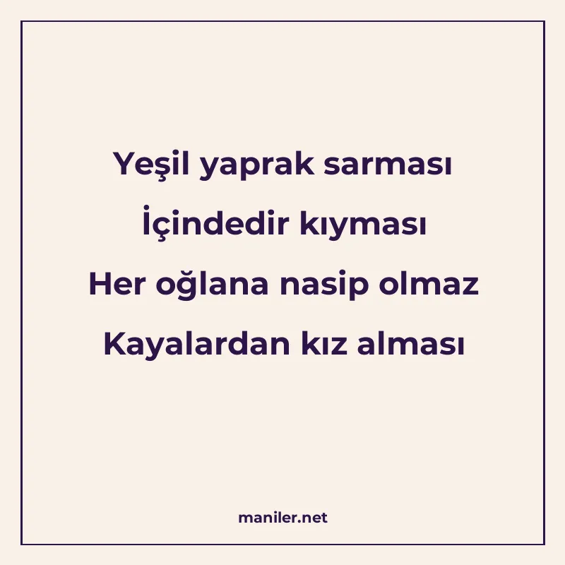 Yeşil yaprak sarması İçindedir kıyması Her oğlana nasip olma manisi görseli