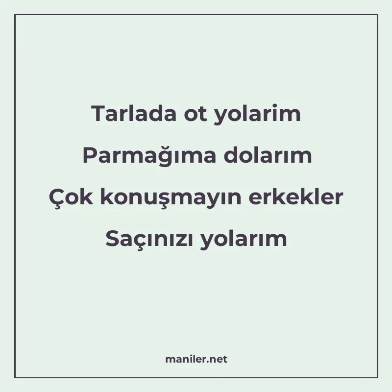 Tarlada ot yolarim Parmağıma dolarım Çok konuşmayın erkekler manisi görseli