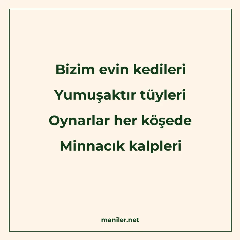 Bizim evin kedileri Yumuşaktır tüyleri Oynarlar her köşede M manisi görseli