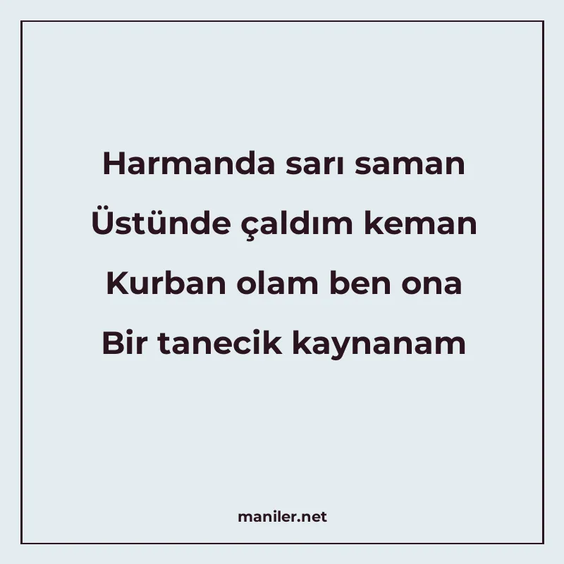 Harmanda sarı saman Üstünde çaldım keman Kurban olam ben ona manisi görseli
